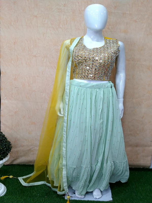 Skirt Choli with Hand Embroidery